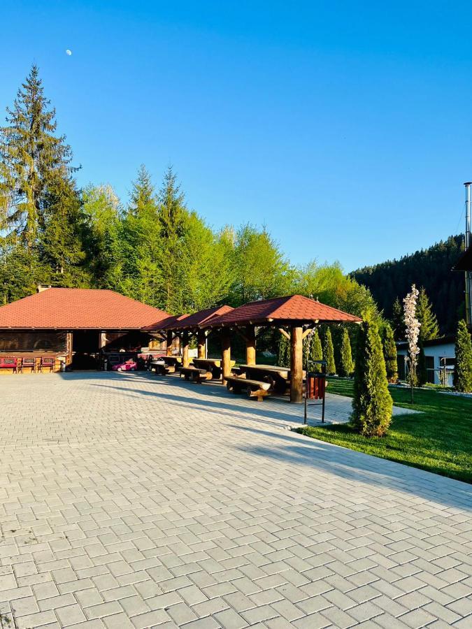Pensiunea Andias Сучевица Экстерьер фото