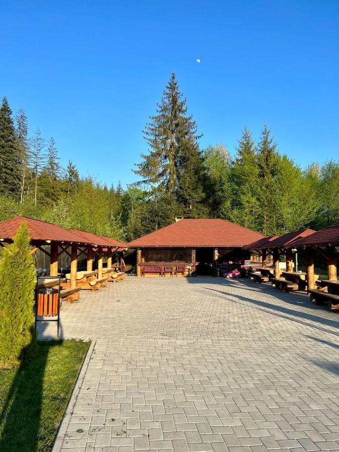 Pensiunea Andias Сучевица Экстерьер фото